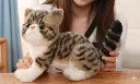 Gemini_Generated_Image_o1vfwpo1vfwpo1vf.webp